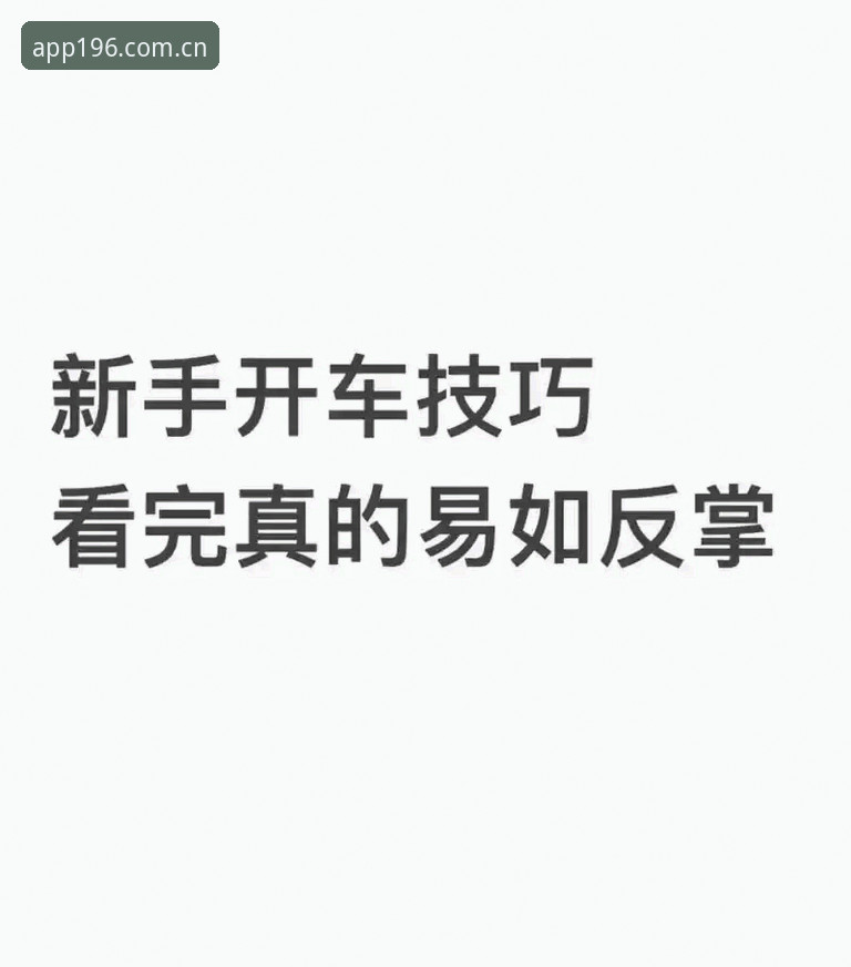 新手必看！196体育平台使用心得与实战经验分享