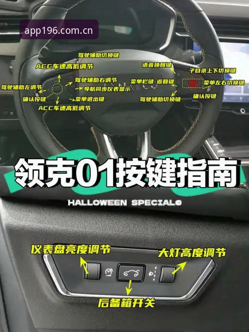 196体育平台功能详解与使用指南